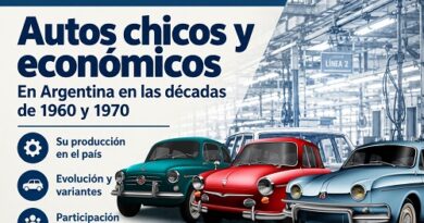 Seminario autos chicos y económicos en Argentina